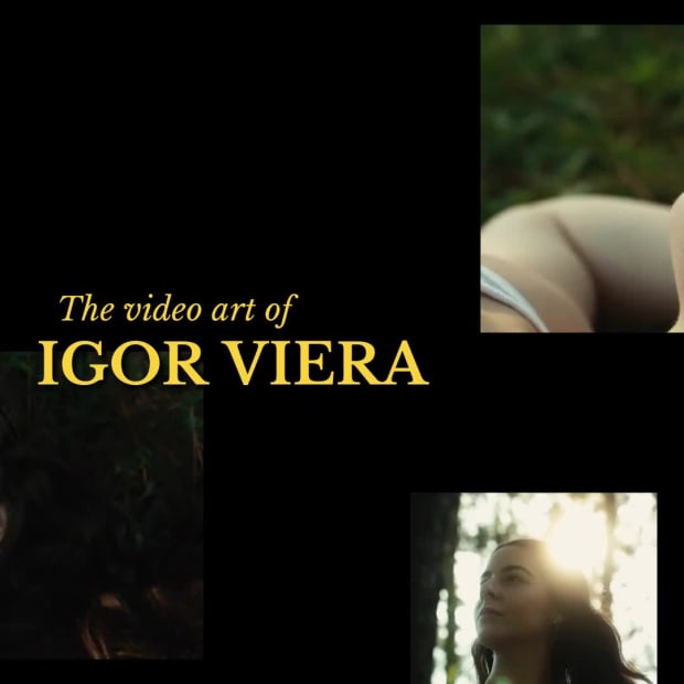 VIDEOGRAPHY SHOW at 11 seconds