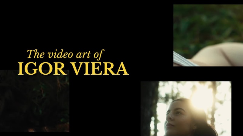 VIDEOGRAPHY SHOW at 11 seconds