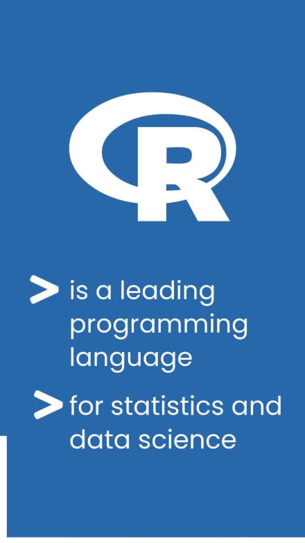 LEARN R at 11 seconds