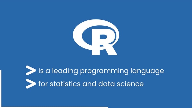 LEARN R at 11 seconds