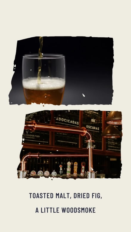 BREWER at 12 seconds