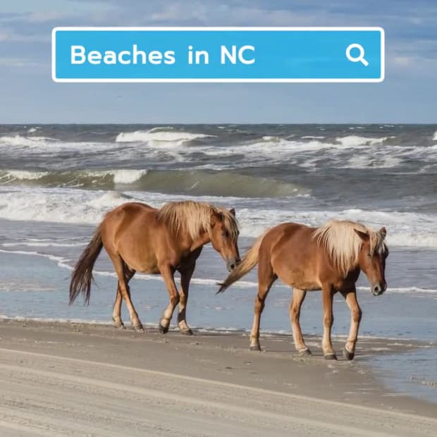 SEARCH SLIDESHOW at 12 seconds