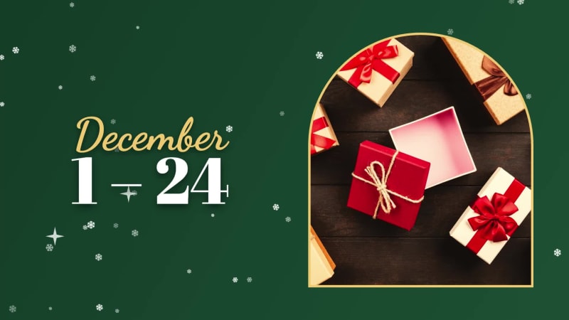 SNOWFALL HOLIDAY SALE at 12 seconds