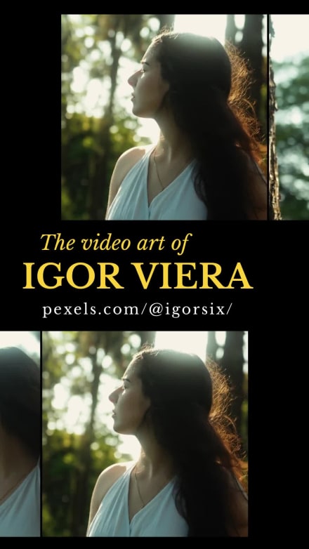 VIDEOGRAPHY SHOW at 14 seconds