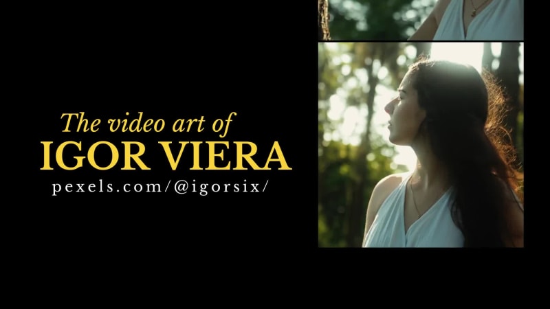VIDEOGRAPHY SHOW at 14 seconds