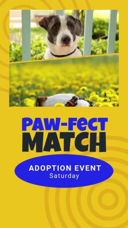 PET ADOPTION at 2 seconds