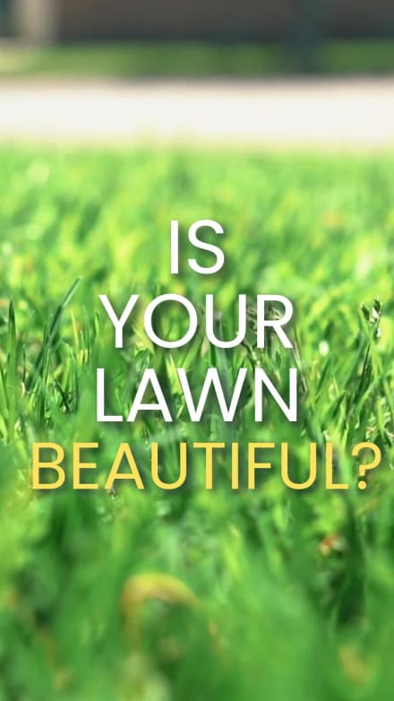 BEAUTIFUL LAWN at 2 seconds