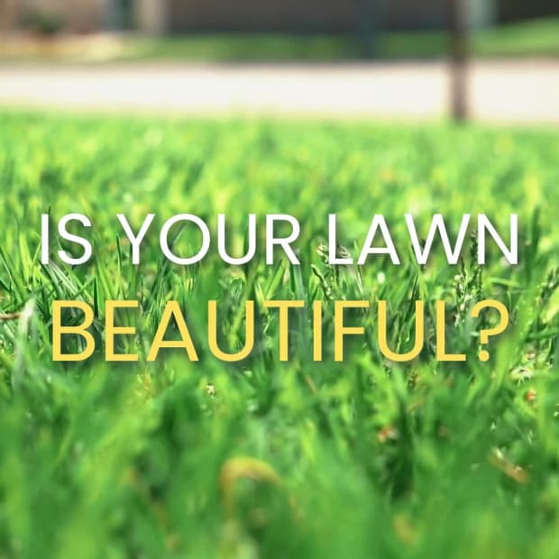 BEAUTIFUL LAWN at 2 seconds