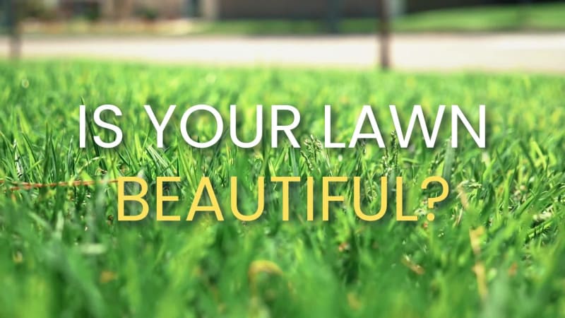 BEAUTIFUL LAWN at 2 seconds