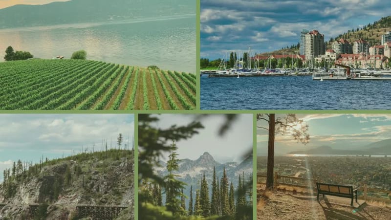 TRAVEL COLLAGE at 3 seconds