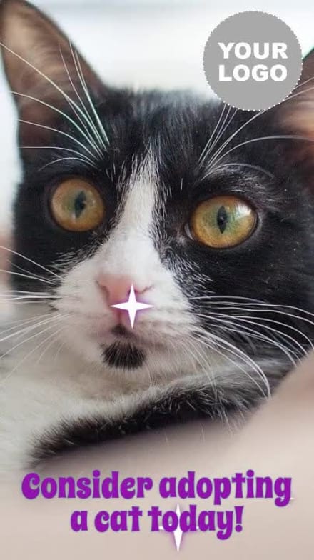 INTERNATIONAL CAT DAY at 26 seconds
