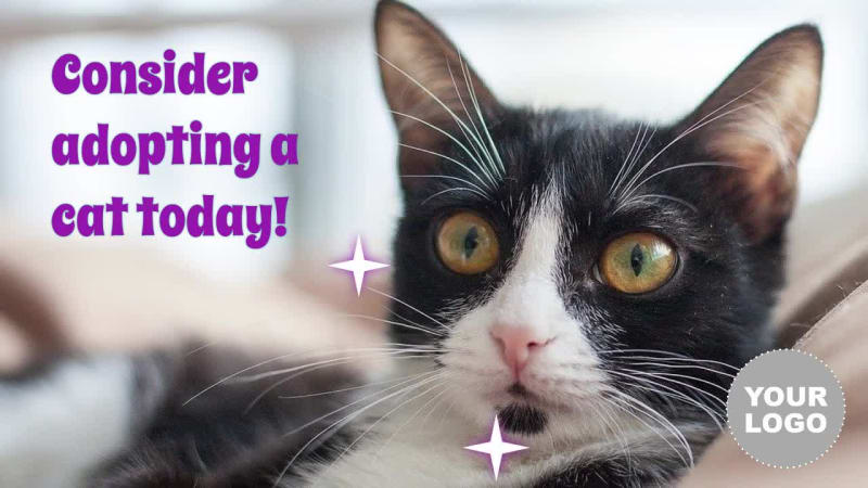 INTERNATIONAL CAT DAY at 26 seconds