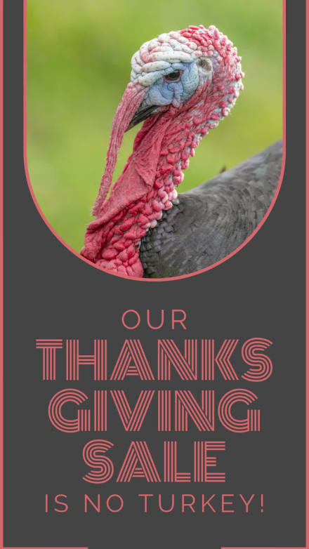 NO TURKEY SALE at 3 seconds