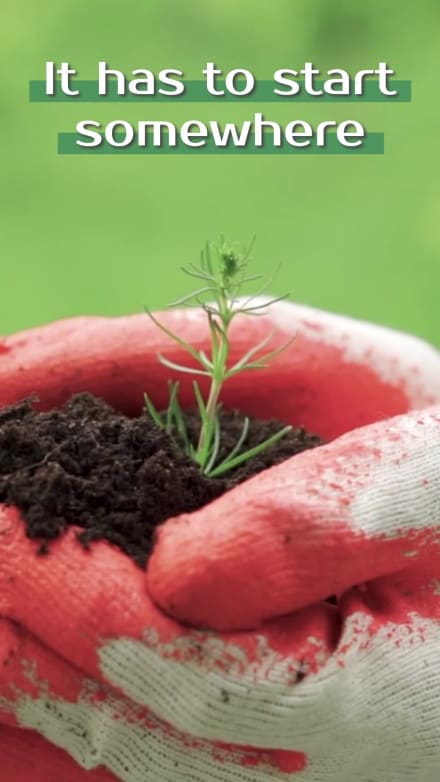 PLANT A TREE at 3 seconds