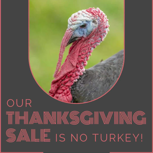 NO TURKEY SALE at 3 seconds