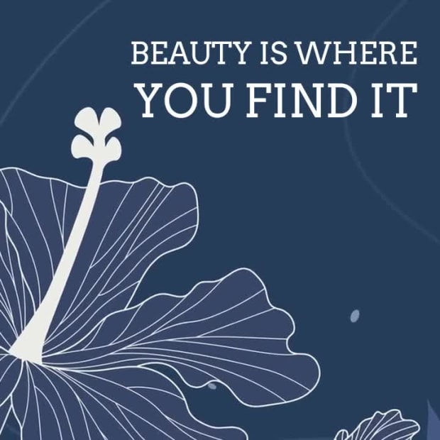 FIND BEAUTY at 3 seconds