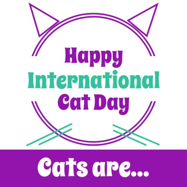 INTERNATIONAL CAT DAY at 3 seconds