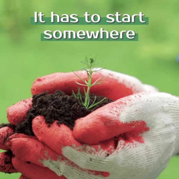 PLANT A TREE at 3 seconds