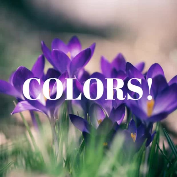 SPRING BEAUTY at 3 seconds