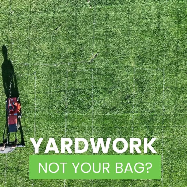 YARD WORK at 3 seconds