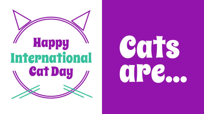 INTERNATIONAL CAT DAY at 3 seconds