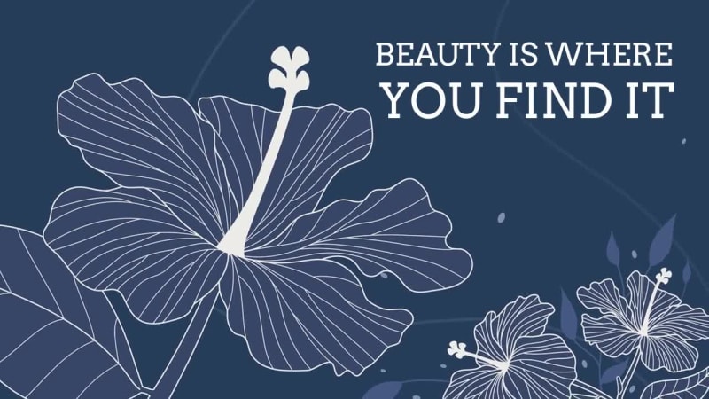 FIND BEAUTY at 3 seconds