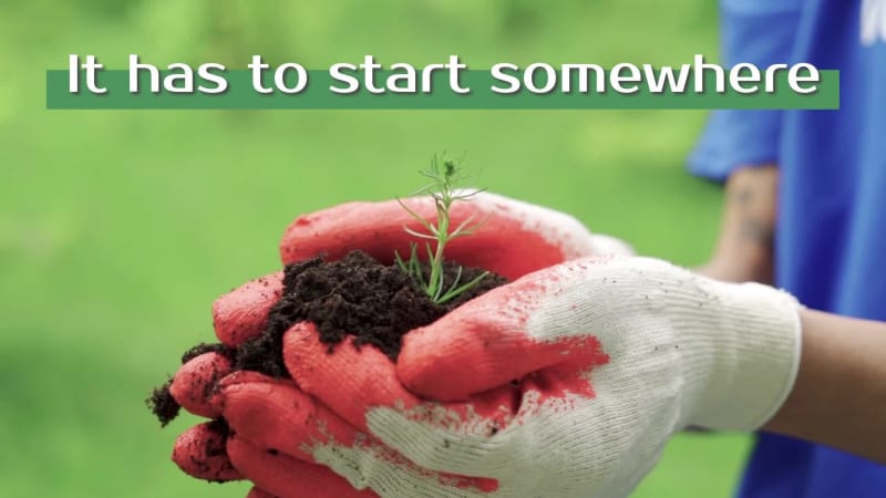 PLANT A TREE at 3 seconds