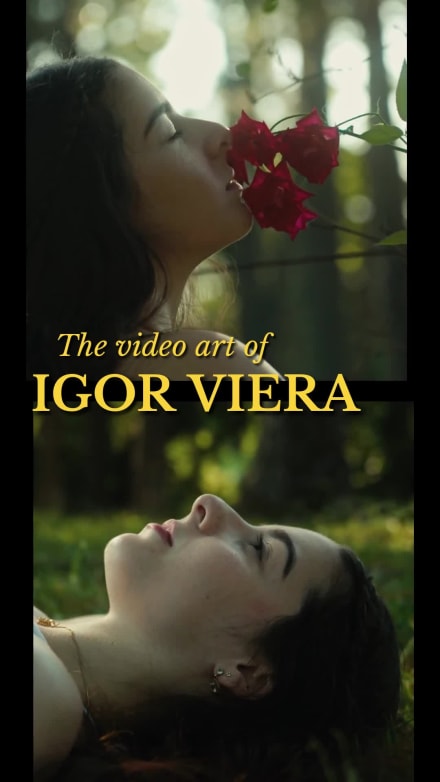 VIDEOGRAPHY SHOW at 4 seconds