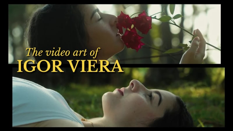 VIDEOGRAPHY SHOW at 4 seconds