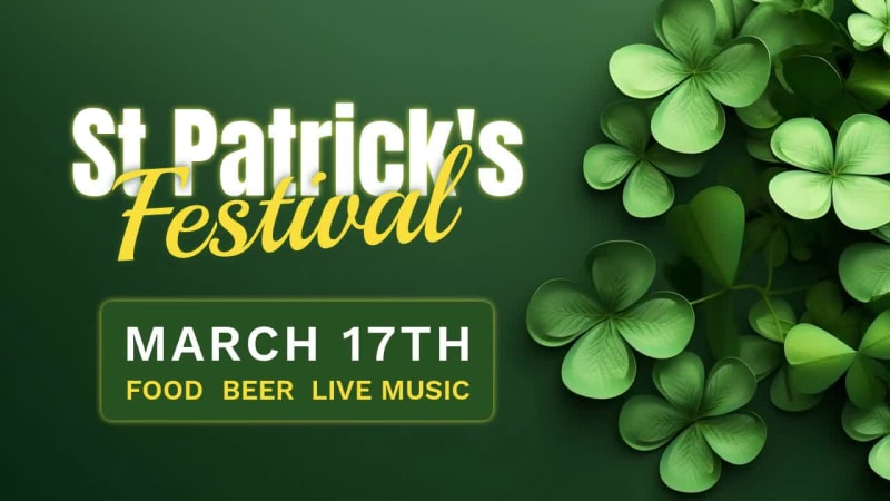 ST PATRICK'S FESTIVAL at 4 seconds