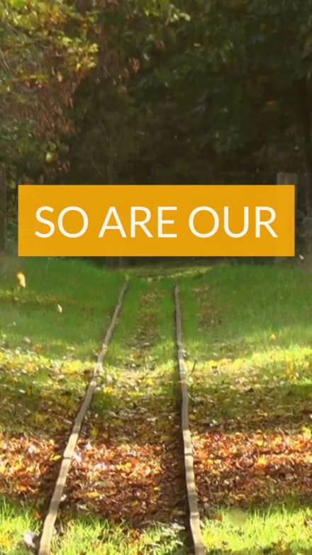 FALL SALE at 4 seconds