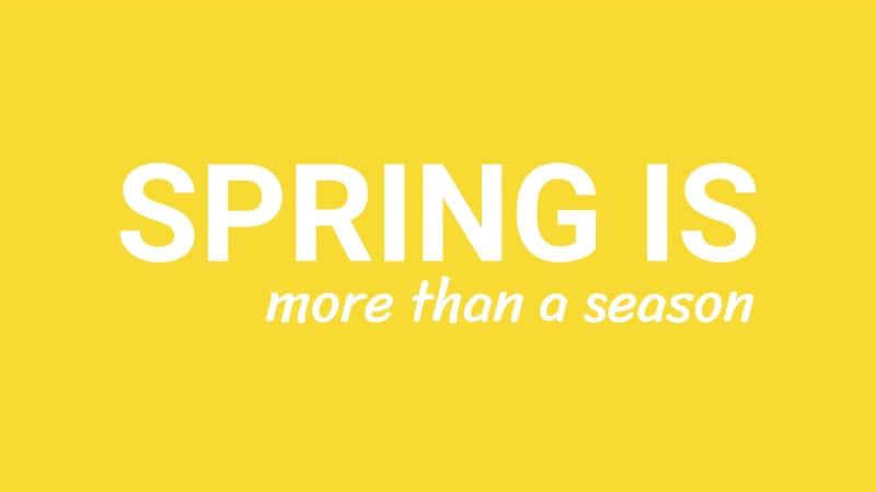 SPRING LIFESTYLE at 4 seconds