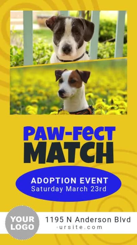 PET ADOPTION at 5 seconds