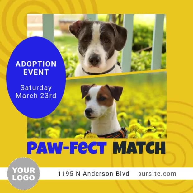 PET ADOPTION at 5 seconds