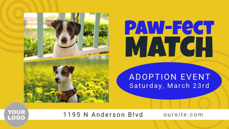 PET ADOPTION at 5 seconds