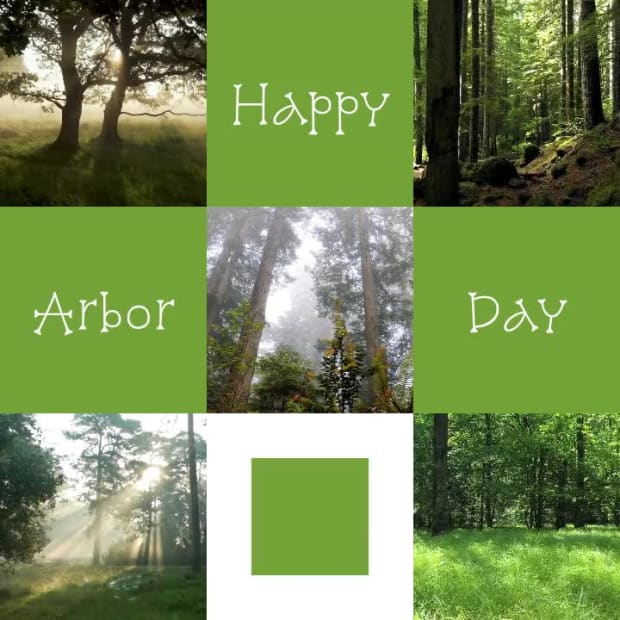 TIC TAC TOE VIDEO COLLAGE at 5 seconds