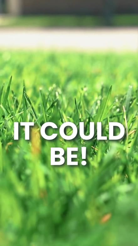 BEAUTIFUL LAWN at 5 seconds
