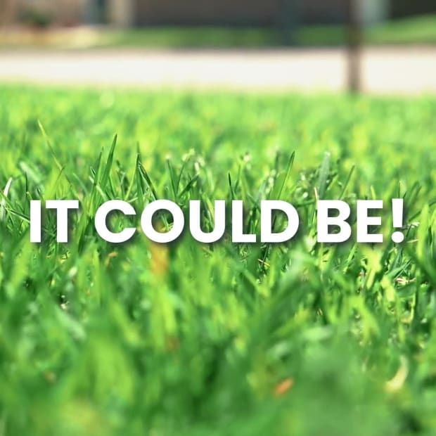 BEAUTIFUL LAWN at 5 seconds