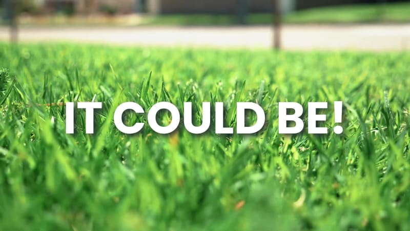 BEAUTIFUL LAWN at 5 seconds