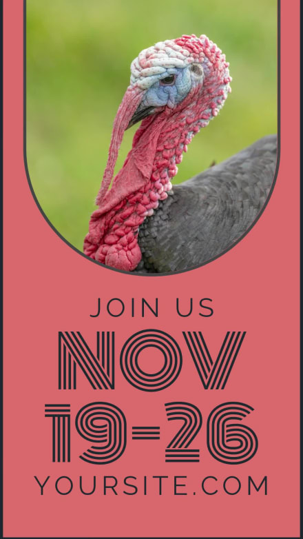 NO TURKEY SALE at 6 seconds