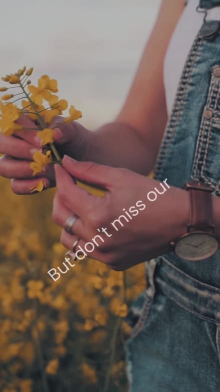 SPRING SALE at 6 seconds