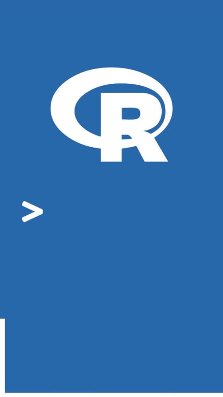 LEARN R at 6 seconds