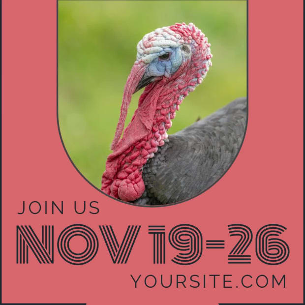 NO TURKEY SALE at 6 seconds