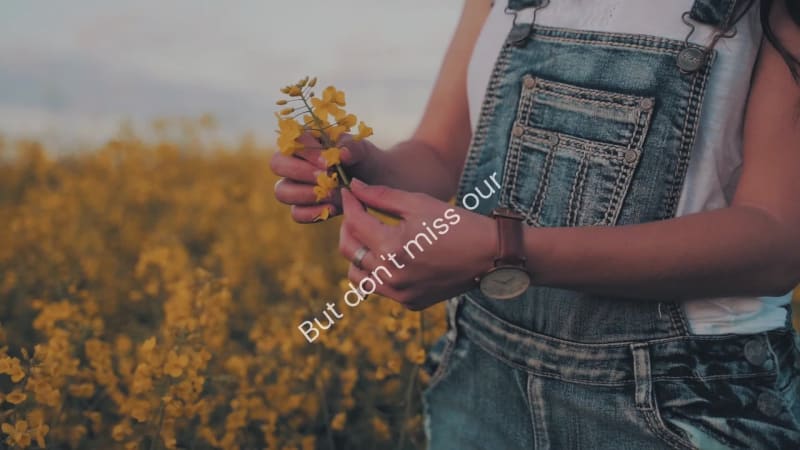 SPRING SALE at 6 seconds