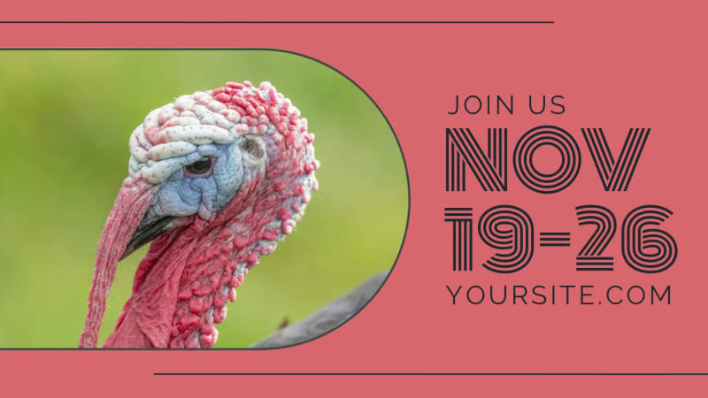 NO TURKEY SALE at 6 seconds
