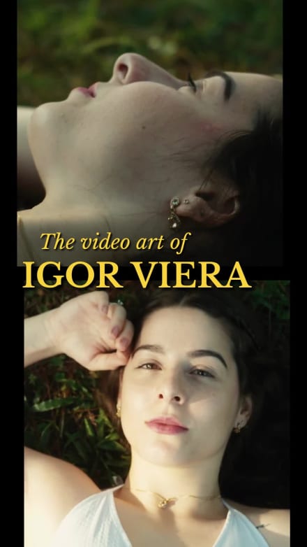 VIDEOGRAPHY SHOW at 7 seconds