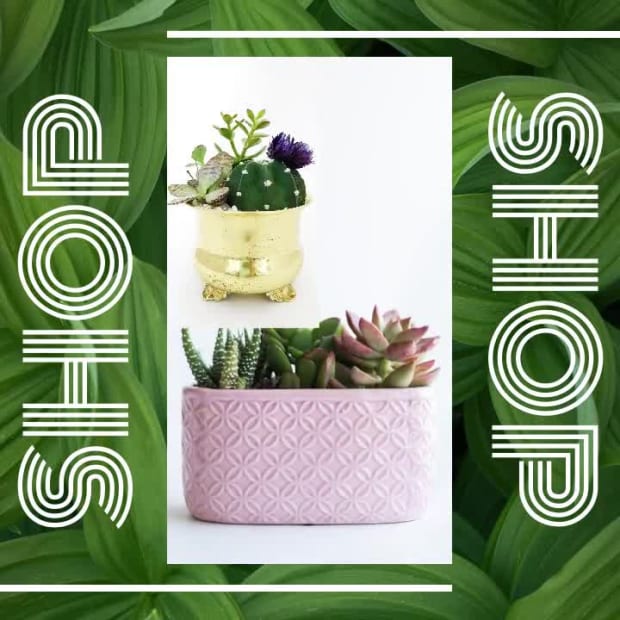 SHOP at 7 seconds