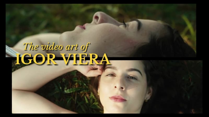 VIDEOGRAPHY SHOW at 7 seconds