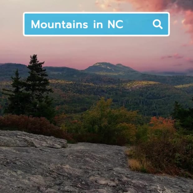 SEARCH SLIDESHOW at 7 seconds