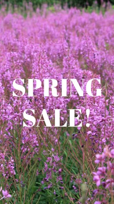 SPRING BEAUTY at 8 seconds